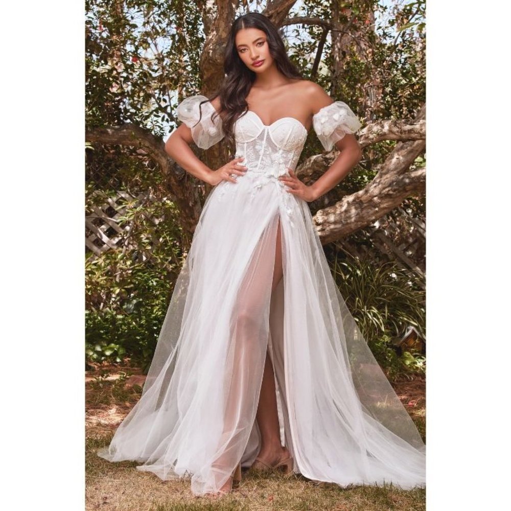 Cinderella STRAPLESS FLORAL BALL GOWN Multi Sizes CB080W